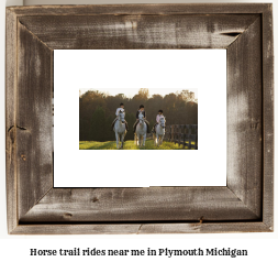 horse trail rides near me in Plymouth, Michigan